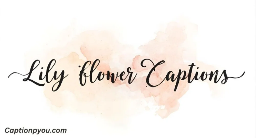 Lily Flower Captions for Instagram