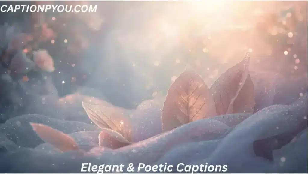 Elegant & Poetic Captions